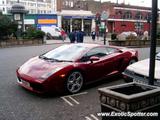 Lamborghini Gallardo