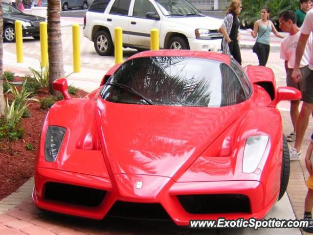 Ferrari Enzo spotted in Miami, Florida