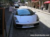 Lamborghini Gallardo