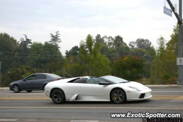 Lamborghini Murcielago spotted in Calabasas, California