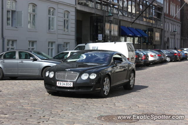 Bentley Continental spotted in København, Denmark