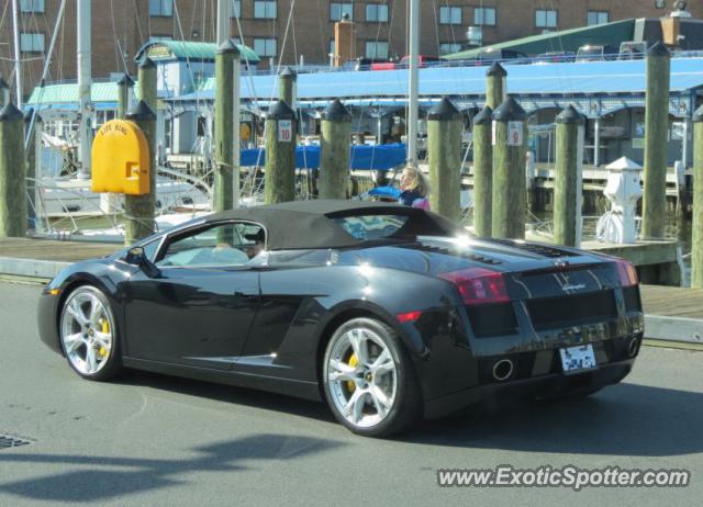 Lamborghini Gallardo spotted in Annapolis, Maryland