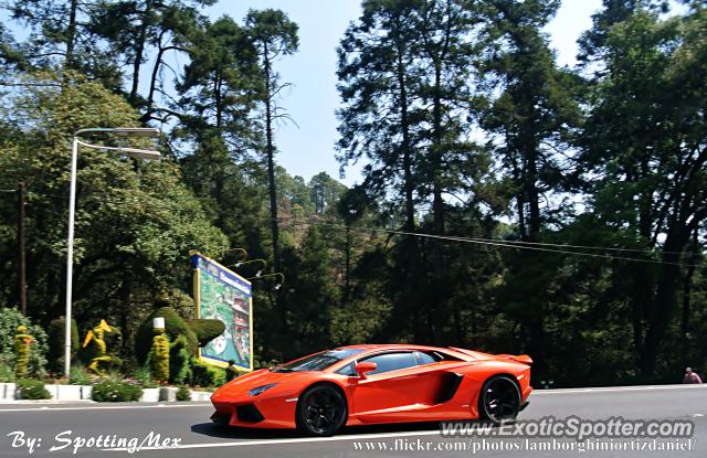 Lamborghini Aventador spotted in Mexico City, Mexico