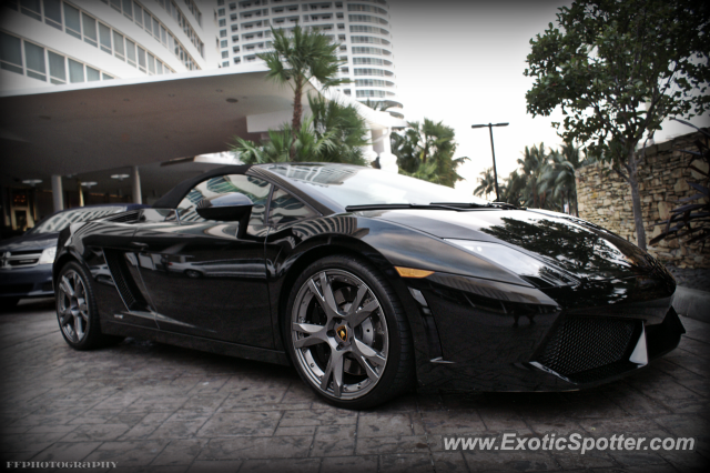 Lamborghini Gallardo spotted in Miami, Florida