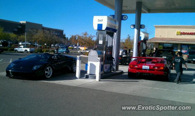 Lamborghini Murcielago spotted in Santa Rosa, United States