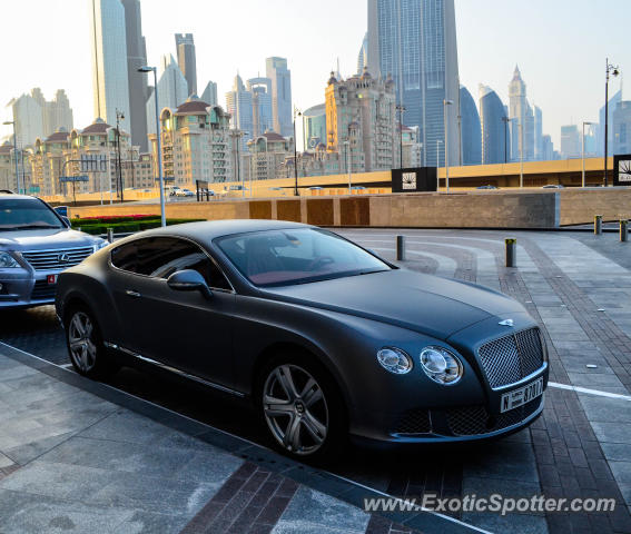 Bentley Continental spotted in Dubai, United Arab Emirates