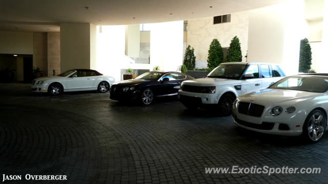 Bentley Continental spotted in Bal Harbour, Florida