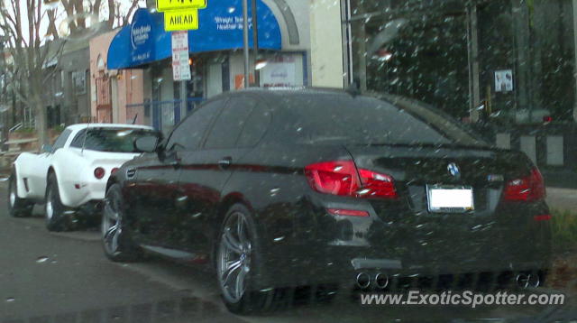 BMW M5 spotted in Cherry Creek, Colorado