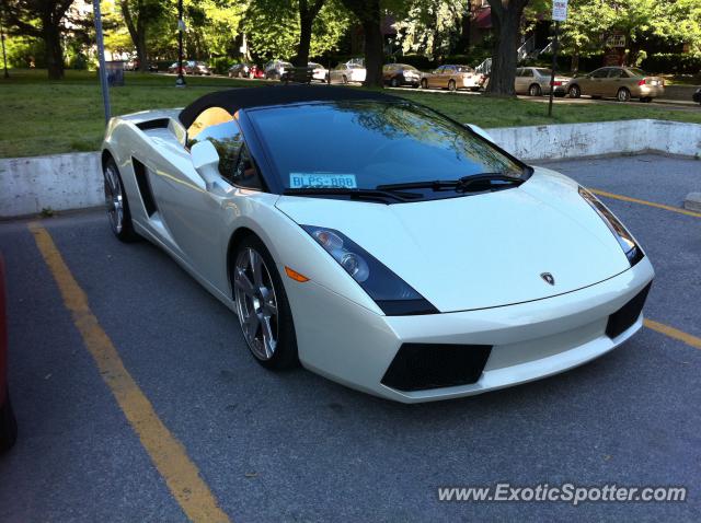 Lamborghini Gallardo spotted in Toronto, Canada