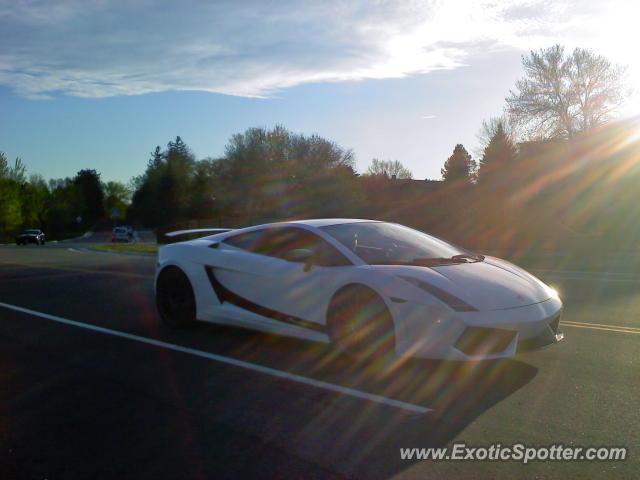 [http://www.exoticspotter.com/images/104/103755.jpg]