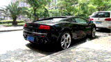 Lamborghini Gallardo