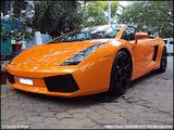 Lamborghini Gallardo