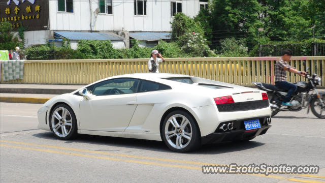 Lamborghini Gallardo spotted in Shanghai, China