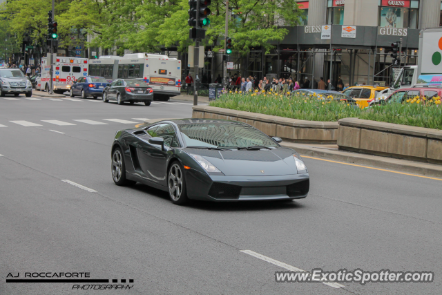 Lamborghini Gallardo spotted in Chicago, Illinois