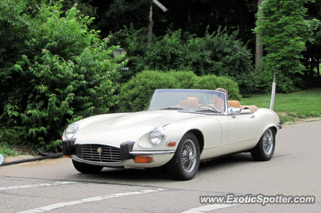 Jaguar E-Type spotted in Cincinnati, Ohio