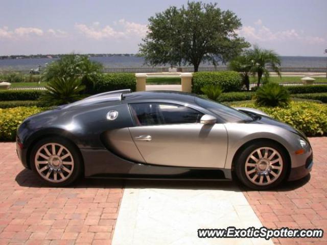 Bugatti Veyron spotted in Miami, Florida