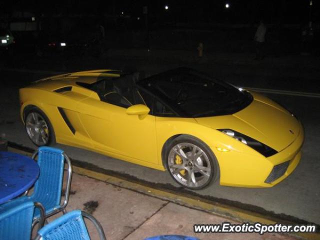 Lamborghini Gallardo spotted in South Beach, Florida