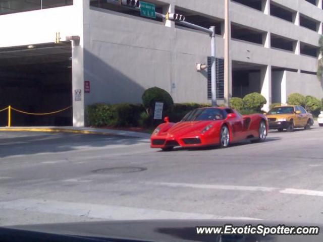 Ferrari Enzo spotted in Miami, Florida