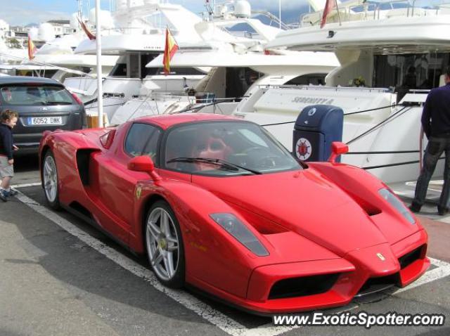 Ferrari Enzo spotted in Puerto Banus, Spain