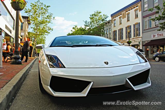 Lamborghini Gallardo spotted in Red Bank, New Jersey