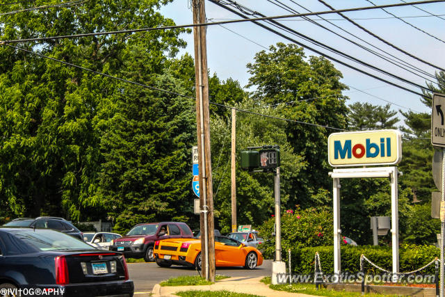 Lamborghini Gallardo spotted in Greenwich, Connecticut