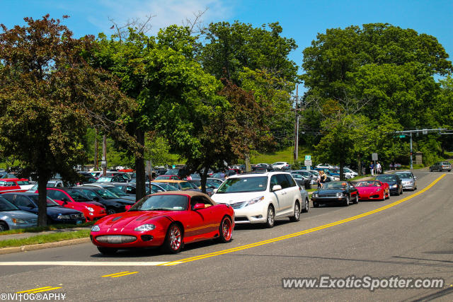 Ferrari F430 spotted in Greenwich, Connecticut