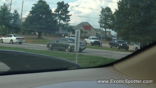 Bentley Continental spotted in Raleigh, North Carolina