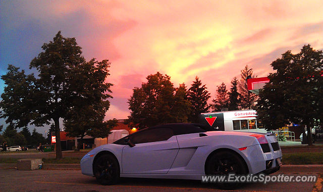 Lamborghini Gallardo spotted in London, Ontario, Canada