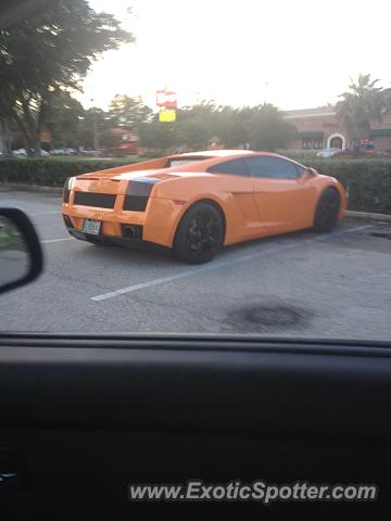 Lamborghini Gallardo spotted in Jacksonville, Florida