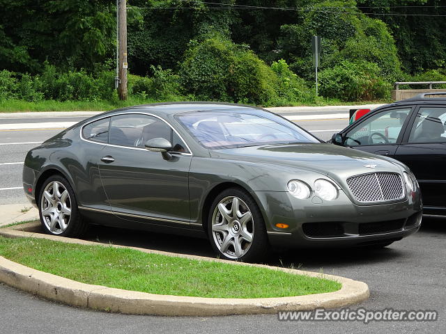 Bentley Continental spotted in Newark, Delaware