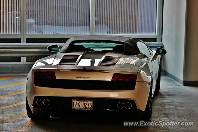 Lamborghini Gallardo spotted in Chicago, Illinois