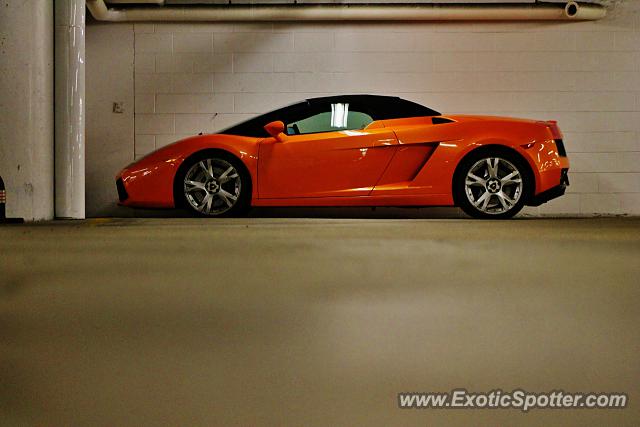 Lamborghini Gallardo spotted in Boston, Massachusetts