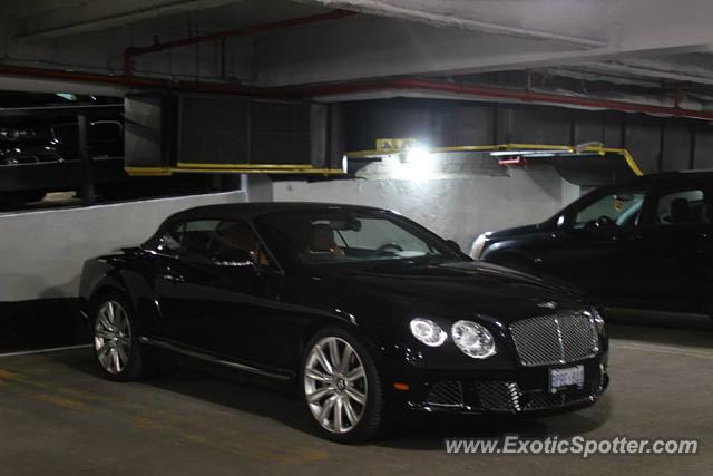 Bentley Continental spotted in Toronto, Canada