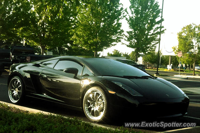 Lamborghini Gallardo spotted in Medford, Oregon