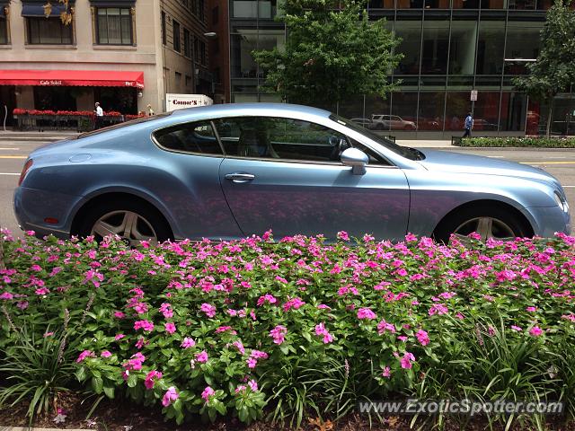 Bentley Continental spotted in Washington, D.C., Washington