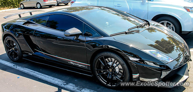 Lamborghini Gallardo spotted in Carmel Valley, California