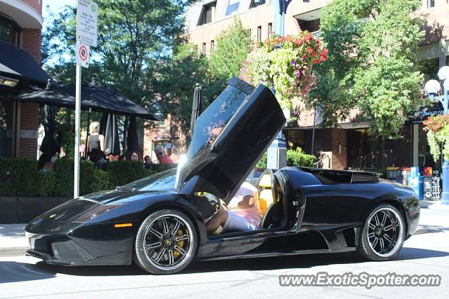 Lamborghini Murcielago spotted in Toronto, Canada