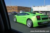 Lamborghini Gallardo