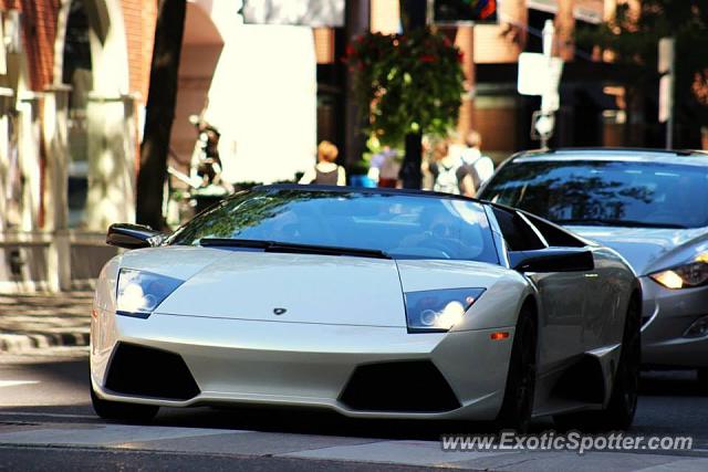 Lamborghini Murcielago spotted in Toronto, Canada