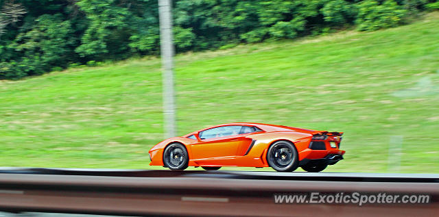 Lamborghini Aventador spotted in Parkway, New Jersey