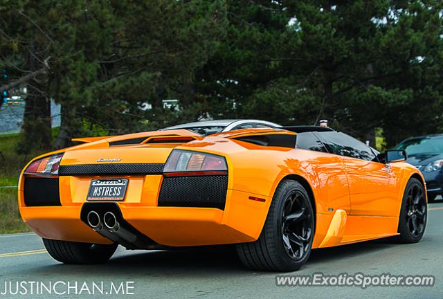 Lamborghini Murcielago spotted in Pebble Beach, California