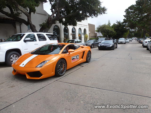 Lamborghini Gallardo spotted in Carmel, California