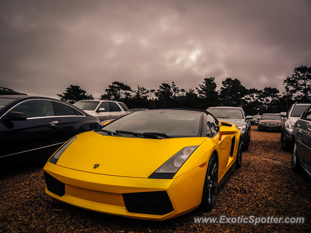 Lamborghini Gallardo spotted in Carmel, California