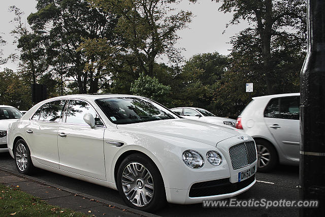 Bentley Continental spotted in Harrogate, United Kingdom