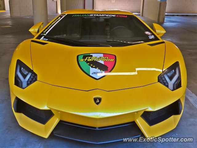 Lamborghini Aventador spotted in Monterey, California