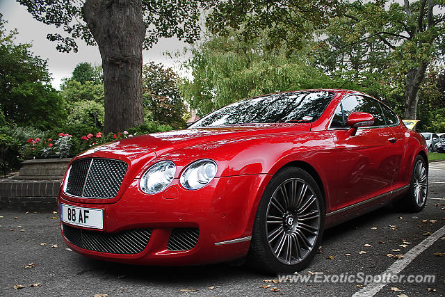 Bentley Continental spotted in Harrogate, United Kingdom