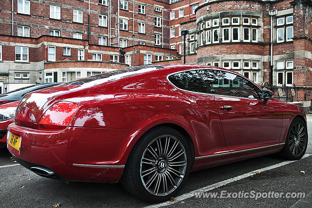 Bentley Continental spotted in Harrogate, United Kingdom