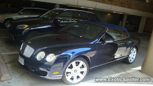 Bentley Continental spotted in Denver, Colorado