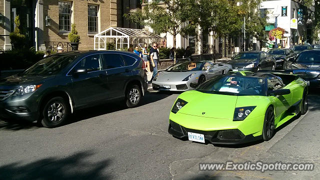 Lamborghini Murcielago spotted in Toronto, Canada