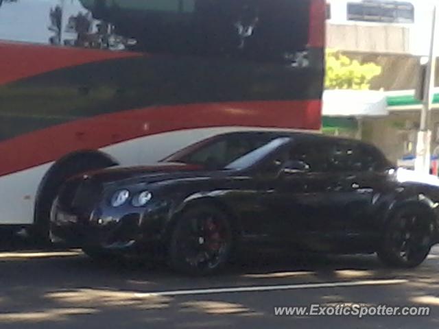 Bentley Continental spotted in Sydney, Australia